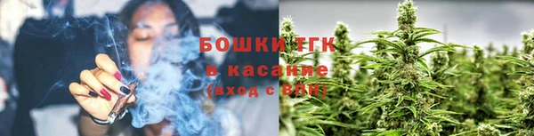 ПСИЛОЦИБИНОВЫЕ ГРИБЫ Гусев