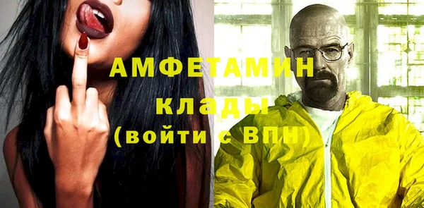 ПСИЛОЦИБИНОВЫЕ ГРИБЫ Гусев