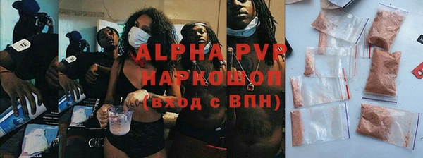 ПСИЛОЦИБИНОВЫЕ ГРИБЫ Гусев