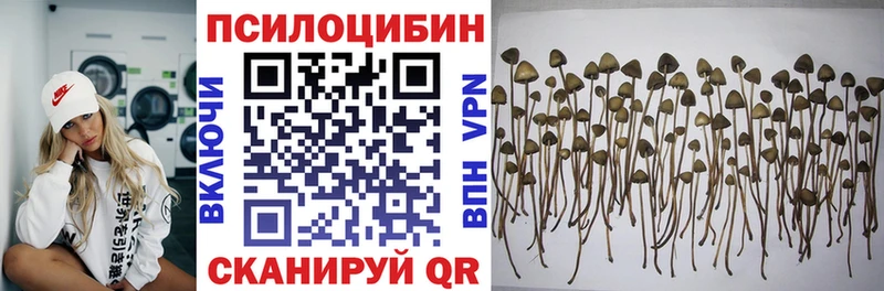 Галлюциногенные грибы ЛСД  купить закладку  гидра как войти  Еманжелинск 